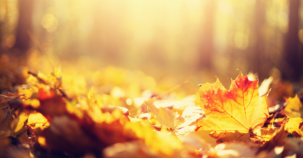 Cum să rămâneți sănătoși la schimbarea anotimpurilor