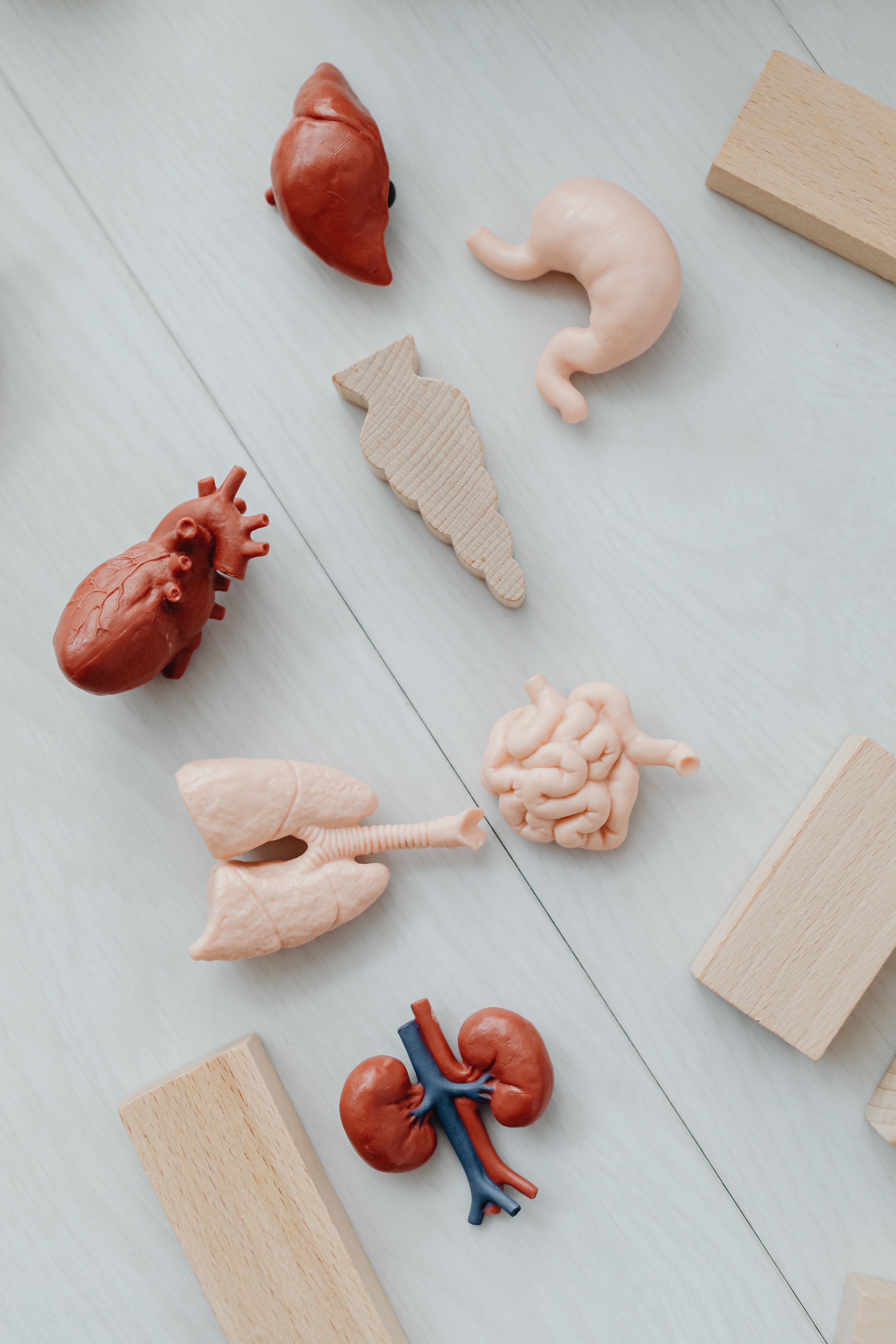 Ce rol au suplimentele nutritive în legatura cu colesterolul?